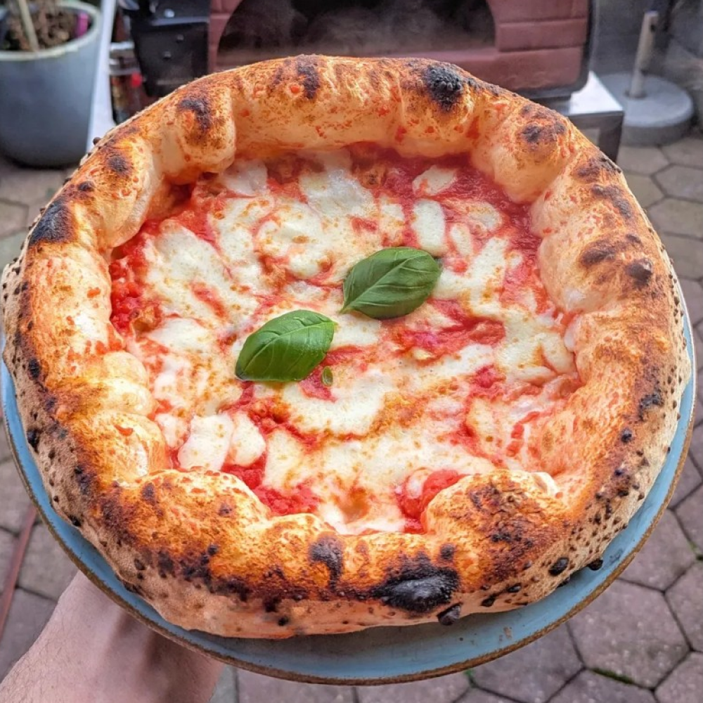Pizza Party® Bollore Holz- und Gaspizzaofen für 2 Pizzen